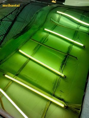 Guter Preis Grüne Spiegel Farbblatt Pvd Beschichtung Dekoration Edelstahlplatte Online