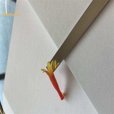 Guter Preis 304 Dekorative Fliesenverkleidung aus Edelstahl, 3048 mm, Farbe hochglanzpoliert Online